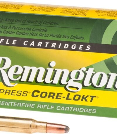 Remington Core-Lokt .308 Winchester 180-Grain Soft-Point Centerfire Rifle Ammunition