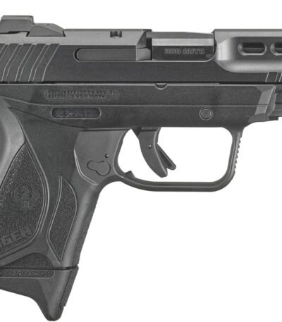 Ruger Security-380 .380 Auto Pistol