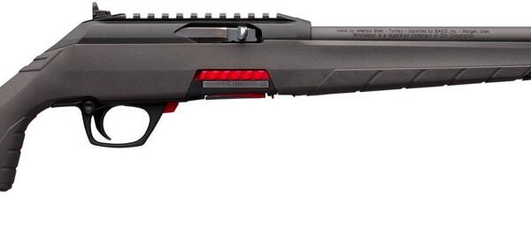 Winchester Wildcat .22LR Semiautomatic Rimfire Rifle