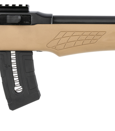 Rossi RS22 22 WMR Semi-Auto 21" 10+1 RD RS22W2111TAN