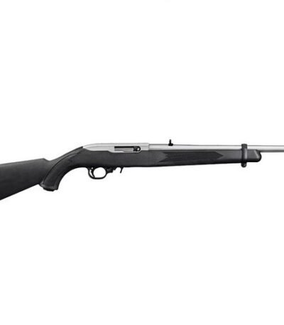 Ruger 10/22 Takedown Autoloading Rifle 11100